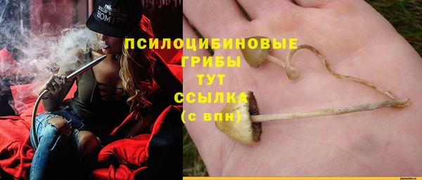 ПСИЛОЦИБИНОВЫЕ ГРИБЫ Абаза