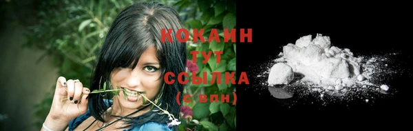 ПСИЛОЦИБИНОВЫЕ ГРИБЫ Абаза