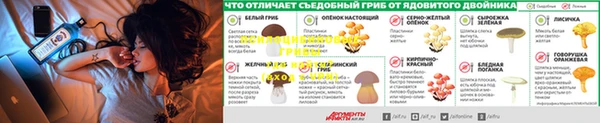 spice Абдулино