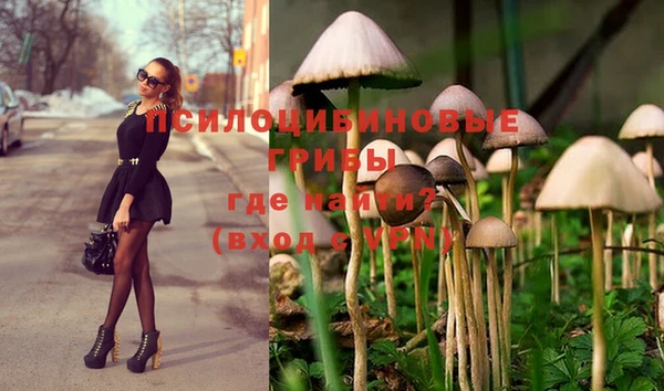 spice Алексеевка