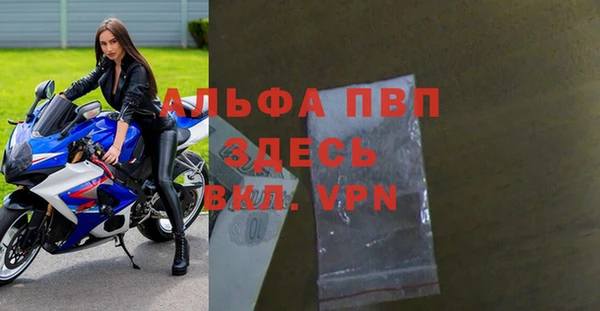 мет Алексин