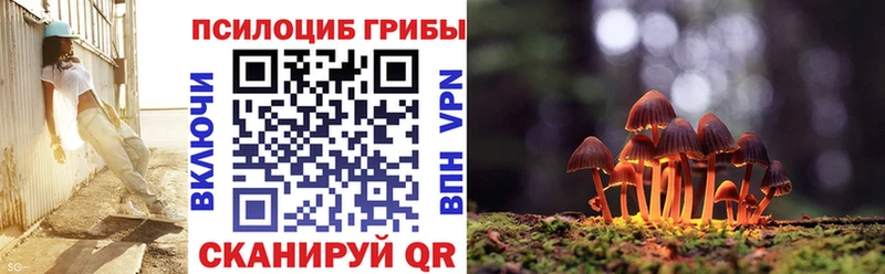 мориарти телеграм  закладка  Урюпинск  Галлюциногенные грибы мухоморы 