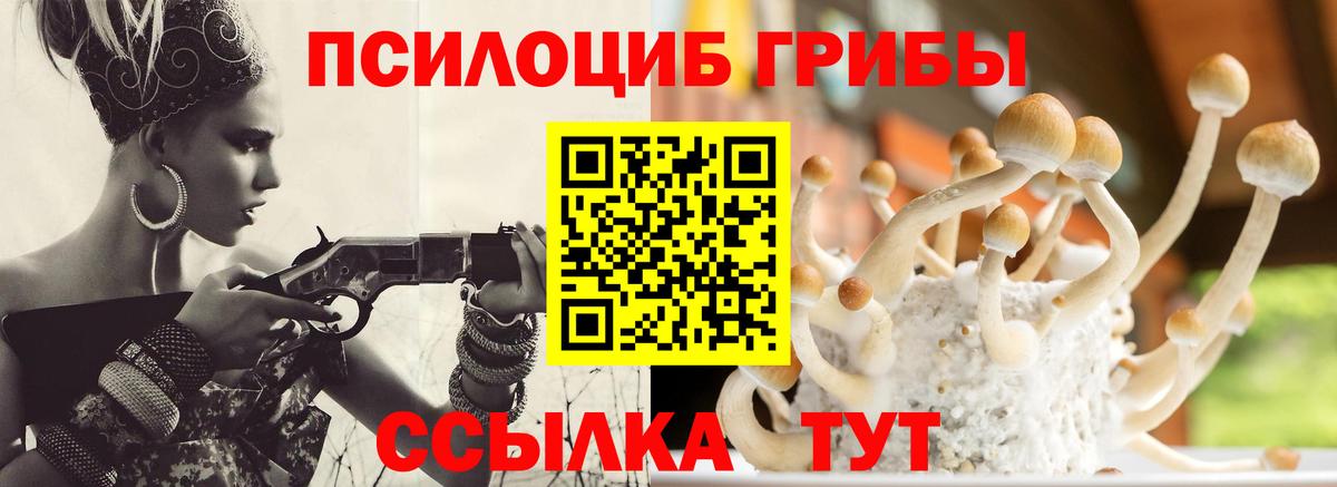 Галлюциногенные грибы прущие грибы Урюпинск